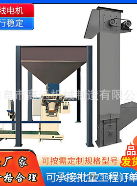 TH200石英砂圆环链斗式提升机  石英砂垂直提料机   高距离上料机