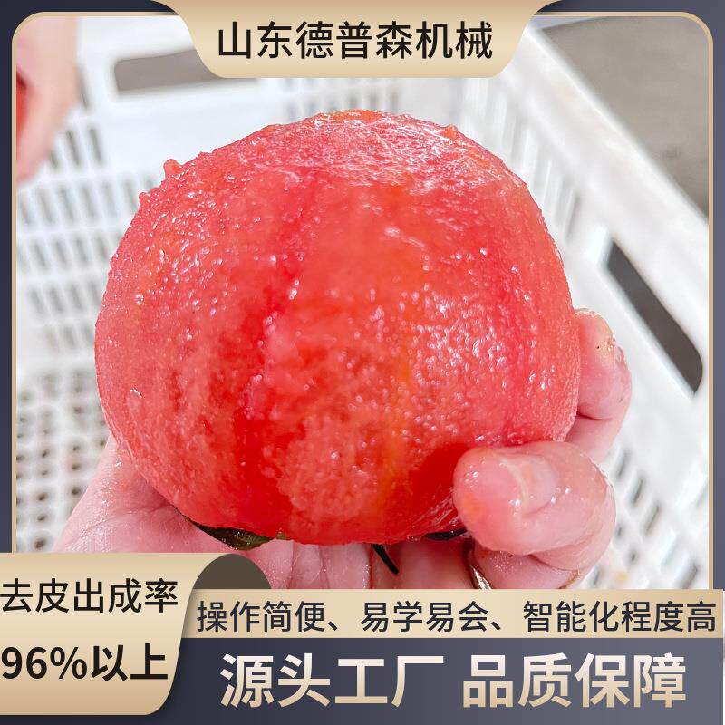 全自动KSX食脱皮加工流水线设备大型柿西红品柿子莲藕汽去蒸皮机
