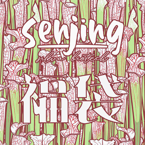 超值福袋不确定簧的乐趣!品种弹机食虫多肉西番莲随性草