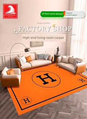 爱马佳H橙色客厅地毯无障碍豪华高端咖啡桌沙发毯子新潮卧室床头