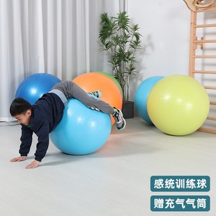 儿童健身感统大龙球前庭训练幼儿园平衡触觉瑜伽家用