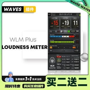 【Waves插件】W Pus ness eer响度测试表总线母带插件