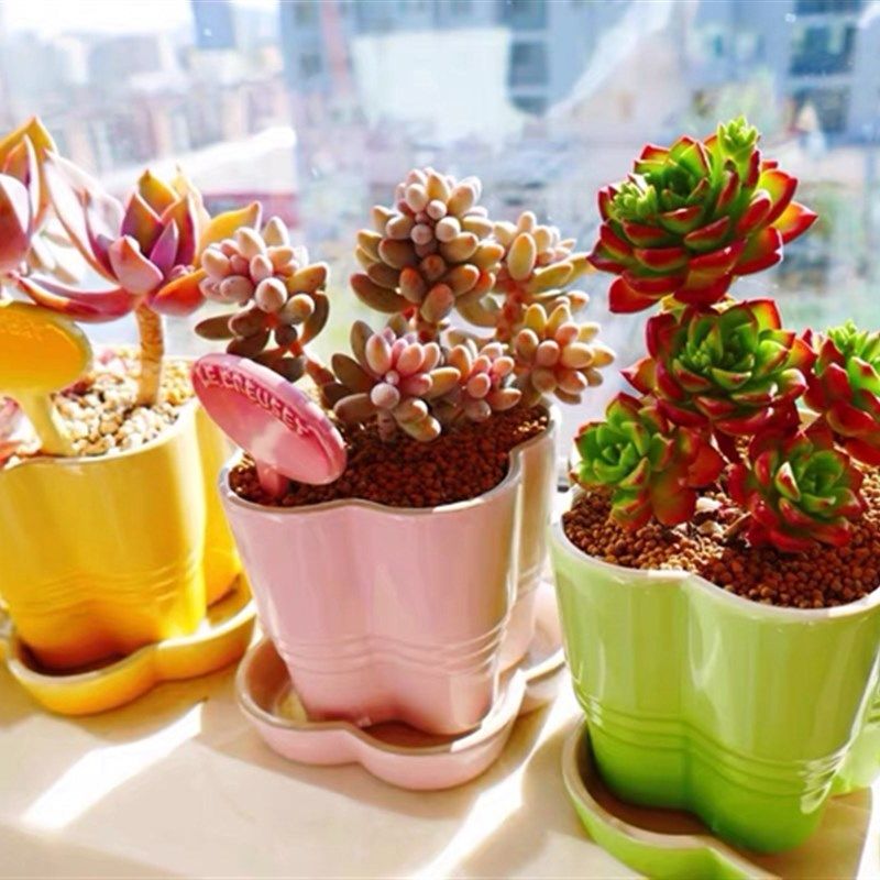 春意盎然 法国炻瓷花盆花形直立牌花插c 现简约