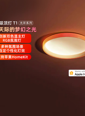 Aqara绿米幻彩接入Hoe卧室客厅灯氛围灯套装