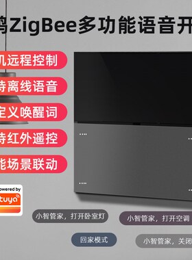 zgbee离线语音开关全屋家居红外家电控制中控系统