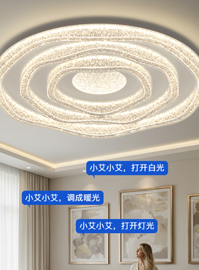 客厅主灯现代简约大气轻奢高级感2026新款意式高端卧室led吸顶灯