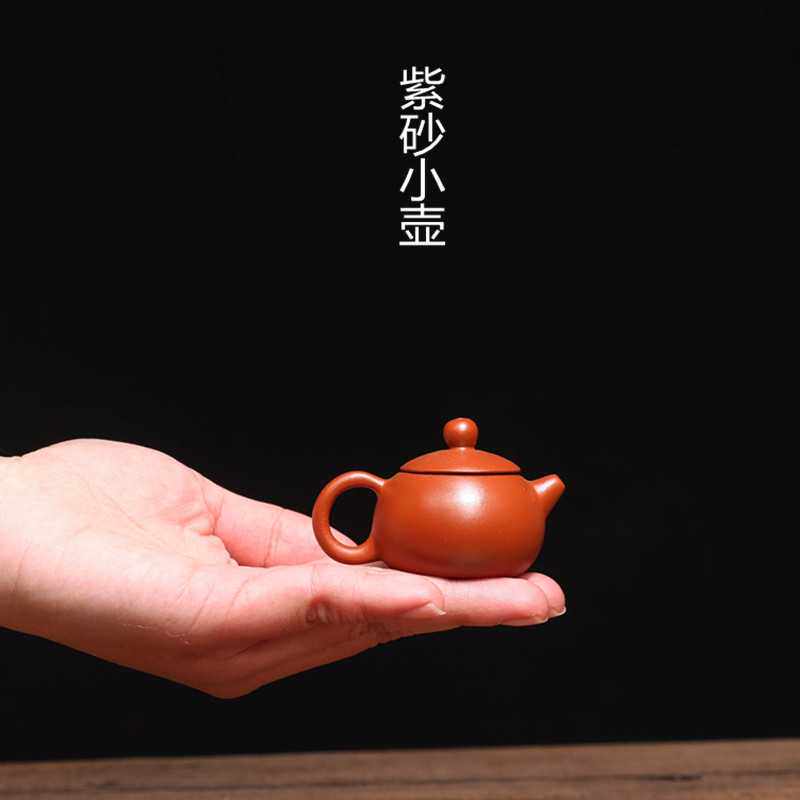 宜兴紫砂茶宠壶朱泥指尖小壶把玩水平西施石瓢葫芦茶壶茶具