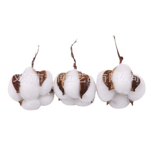 Immortal Cotton Dried Flowers, Simulated Single Kapok Bouque