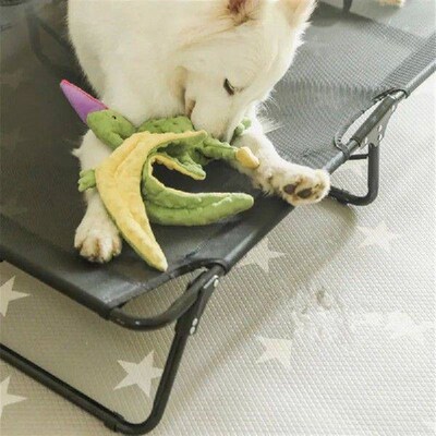 Dogs Bed Anti-moisturizing Chew Proof Dog Bed Breathable