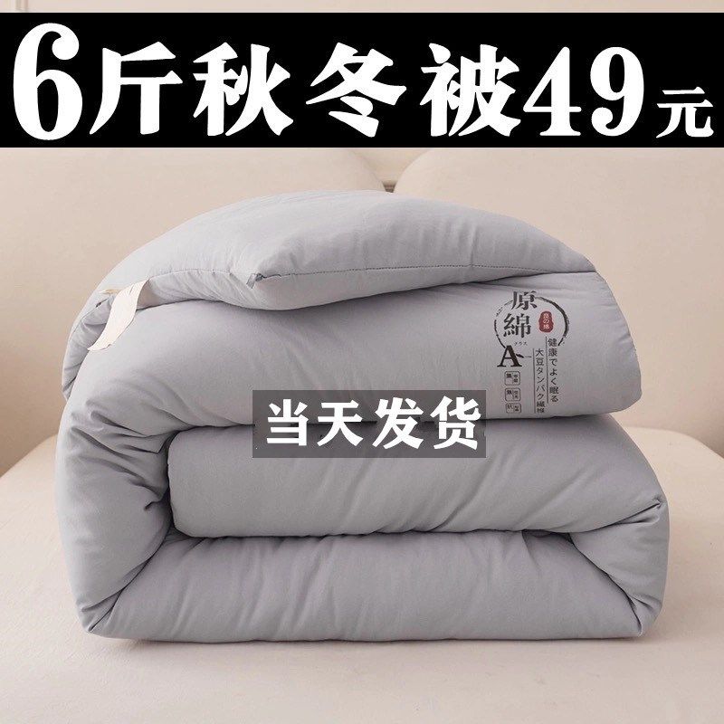 冬季被子冬被棉被学生宿舍单双人加厚保暖春秋被芯秋凉被,床上用品,化纤被,淘宝优惠券,粉丝福利购,淘宝优惠卷