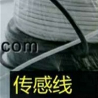 渔工增氧控制器传感线50米