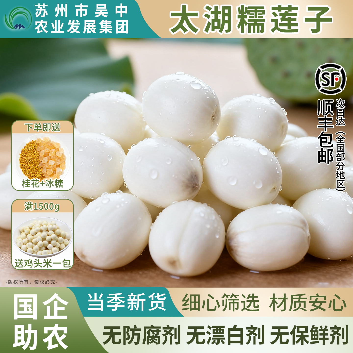 【国企助农】令鲜顺食太湖糯莲子去芯当季2025年新鲜莲子米莲蓬子