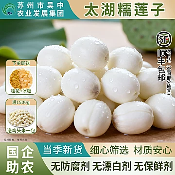 送桂花+冰糖【国企助农】500g太湖糯莲子