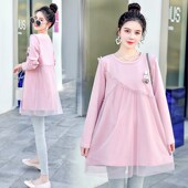 春秋宽松中长款 孕妇春秋上衣小个子2024新款 套装 时尚 网纱裙子 韩版