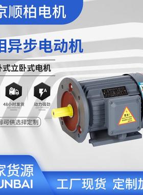 YE3三相异步电动机8极0.25千瓦-220w机械设备电机380V国标电动机