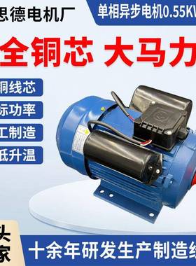 220V单相电动机0.7/1.1/1.5/2.2/3.0W六级960转小型设备用