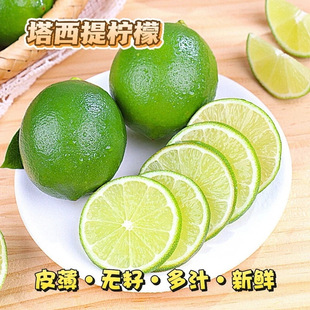 果园现摘塔希提无籽青柠檬果香四溢皮薄肉厚奶茶店商用批发