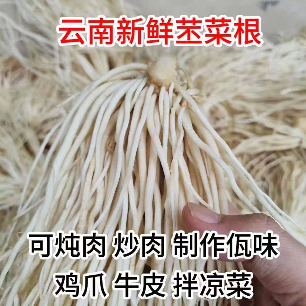 撇菜根佤味牛皮苤菜根云南新鲜蔬菜大韭菜根凉拌腌制炖汤菜根