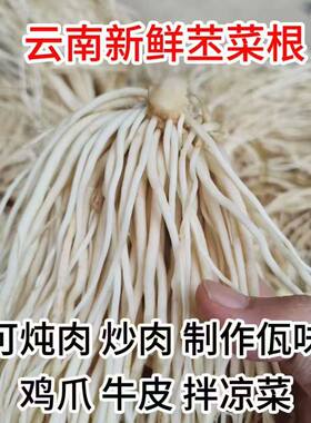 云南新鲜撇菜根佤味凉拌炖汤