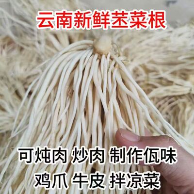 云南新鲜撇菜根佤味凉拌炖汤