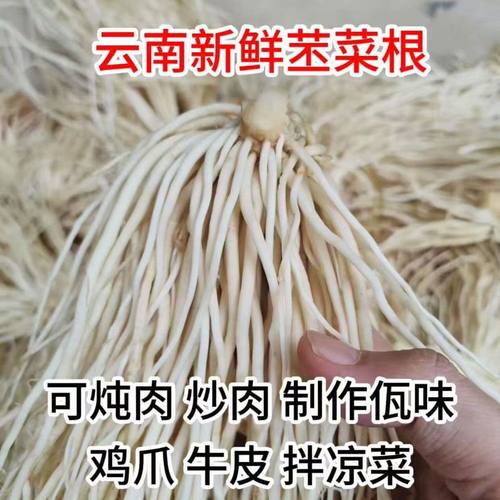 云南新鲜撇菜根佤味凉拌炖汤