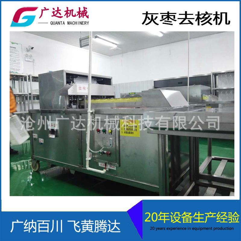 新品高效安全稳定全自动灰枣去核器不锈钢多功能灰枣去核机