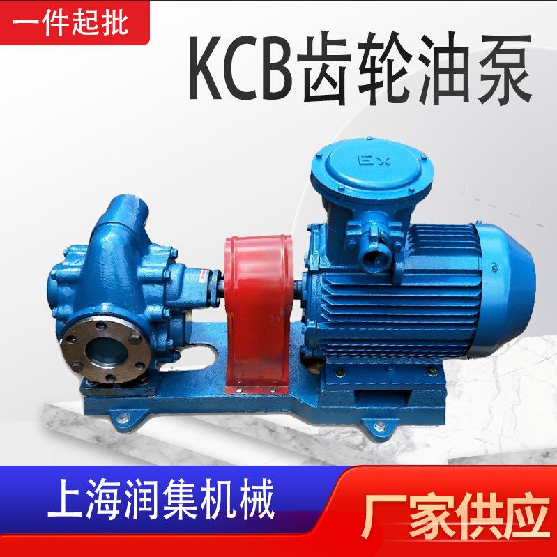KCB齿轮油泵2CY铸铁不锈钢防爆铜齿轮泵卧式电动无泄露转子泵
