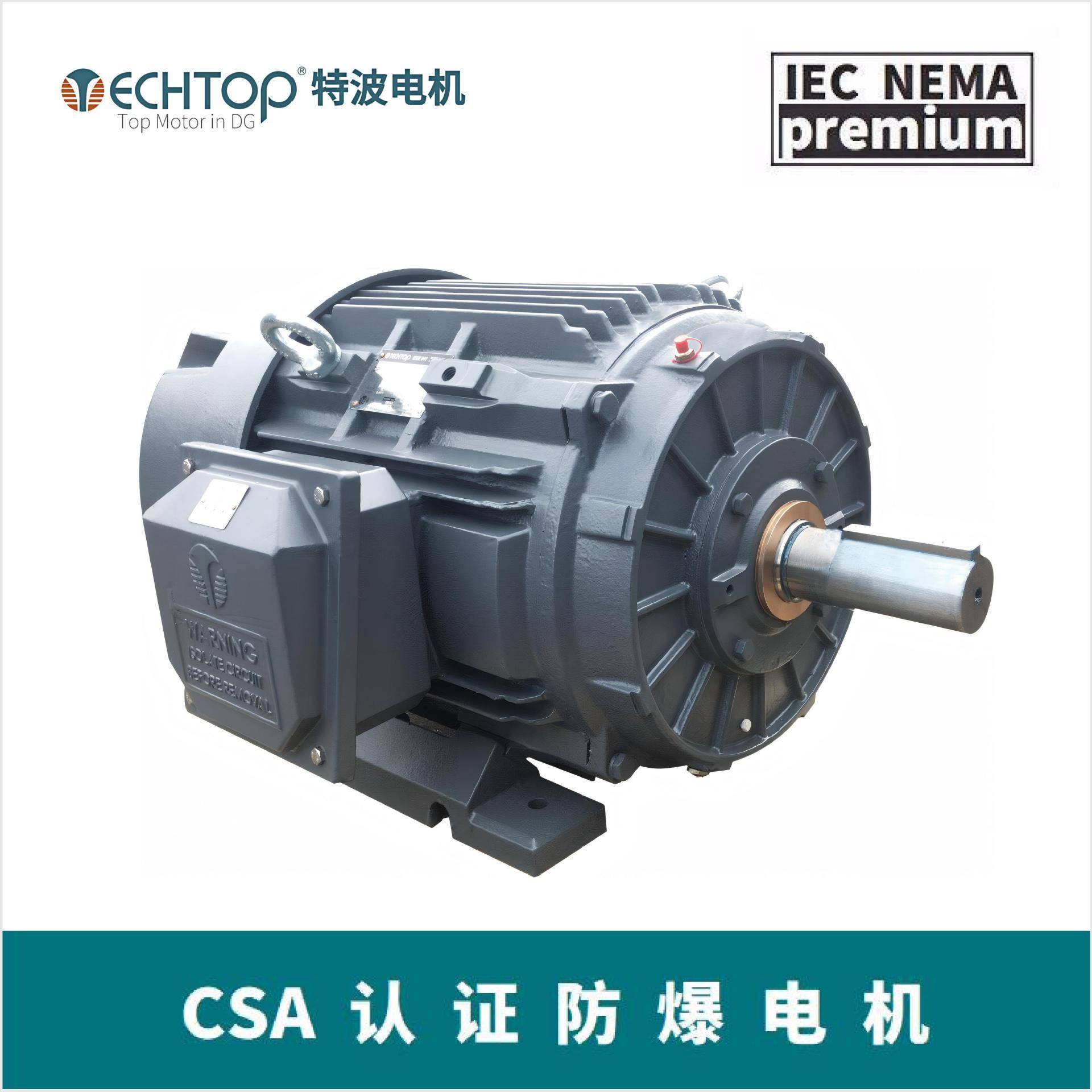 NEMA标准油田防爆电机Class1Div2等级防爆UL/CSA防爆认证