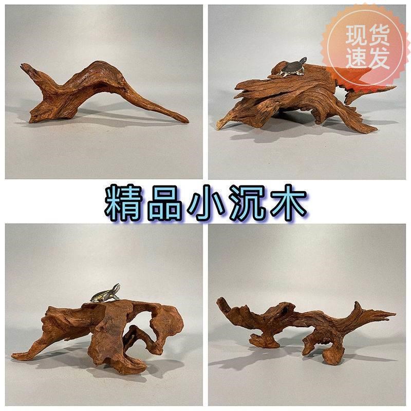 树根摆件 枯木鱼缸造景紫柚木精品小号沉木迷你水族装饰树桩晒