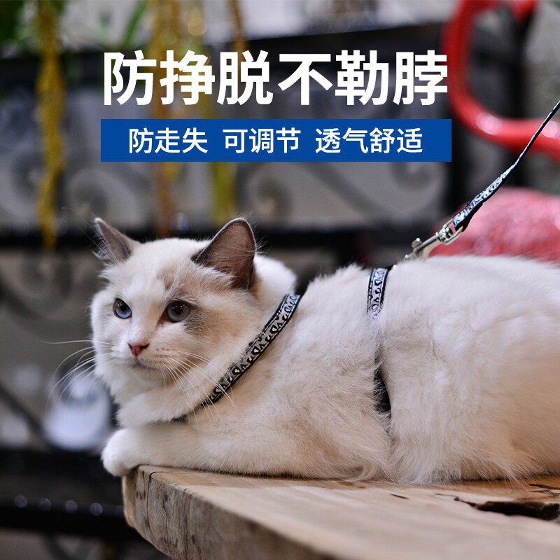 泰器猫引牵咪绳背心式防挣脱遛猫绳子遛猫神基背带猫咪专用