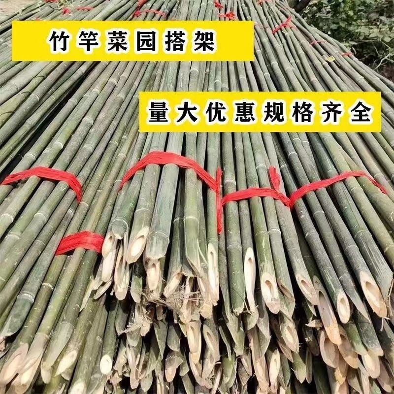 豆架杆竹杆菜园搭架杆黄瓜西红柿支架杆辣椒架子超硬植物爬藤旗杆