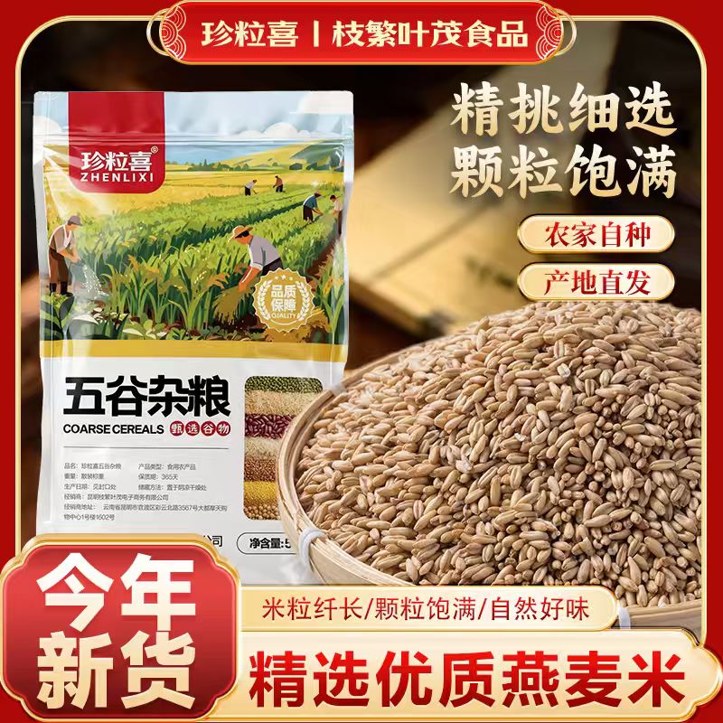 云南优质燕麦米2025年新米农家糙米五谷杂粮胚芽生米燕麦粒粗粮
