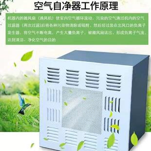 无尘车间灌装间吊顶式空气自净器净化器无菌实验室过滤器