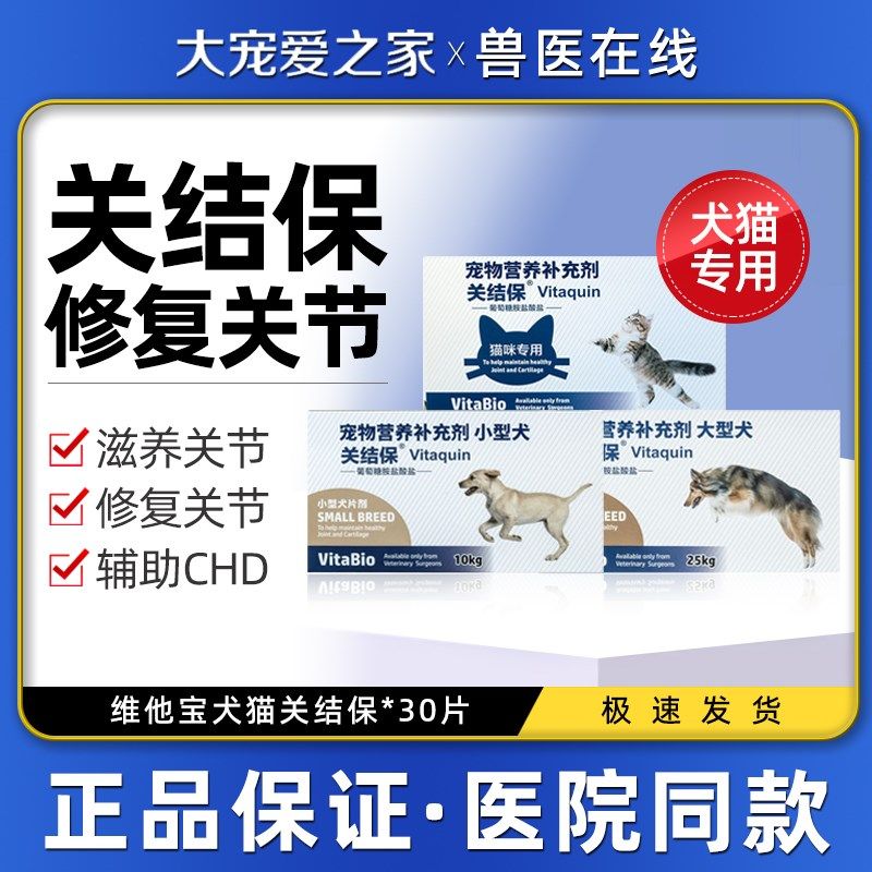 维他宝关结保宠物关节宝软骨素猫狗用CH髋关节发育不良腿瘸无力,宠物/宠物食品及用品,狗特色保健品,淘宝优惠券,粉丝福利购,淘宝优惠卷