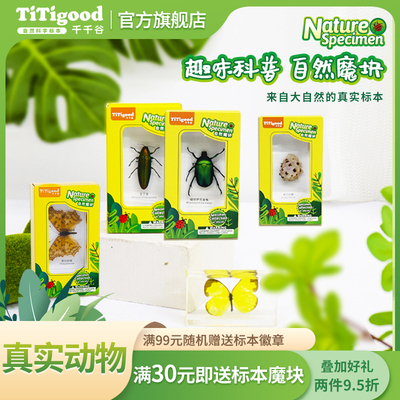 儿童树脂海真虫虫自然魔块真实昆洋动物小