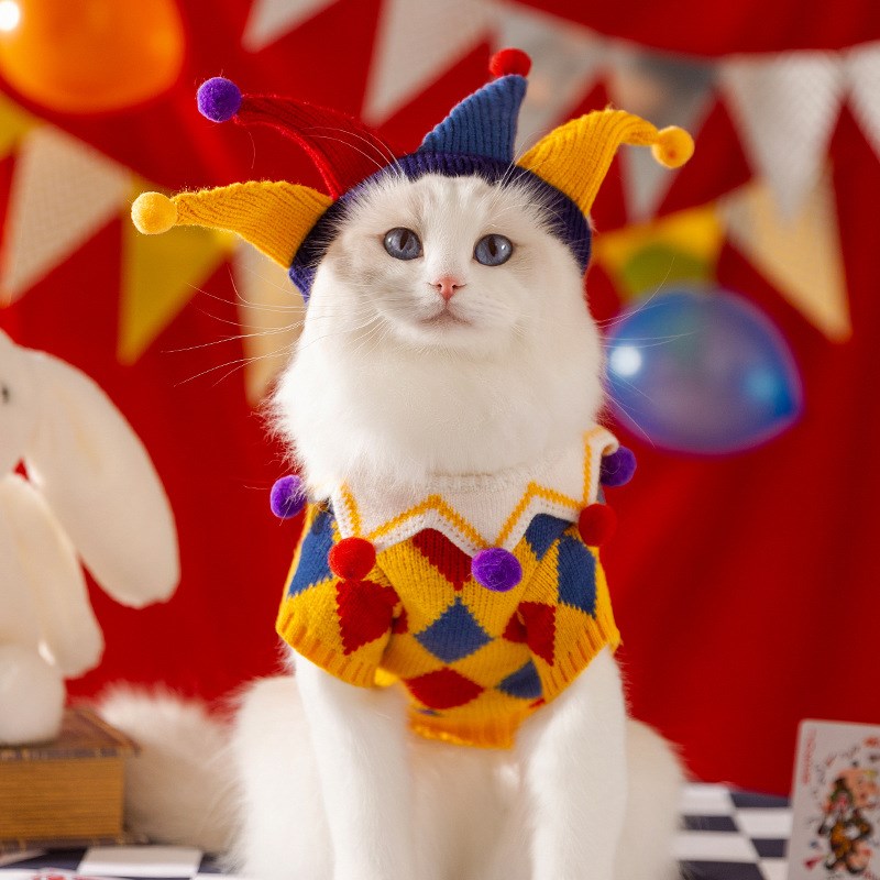 秋冬季新款疯狂马戏团猫咪衣服蓝猫幼猫棋盘格针织毛衣宠物衣服