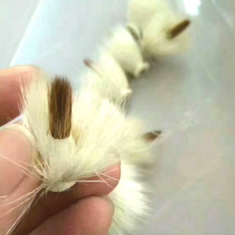 鸡距缠纸小楷毛笔 晋唐鸡距笔狼毫 小号笔蒜头 抄经临摹