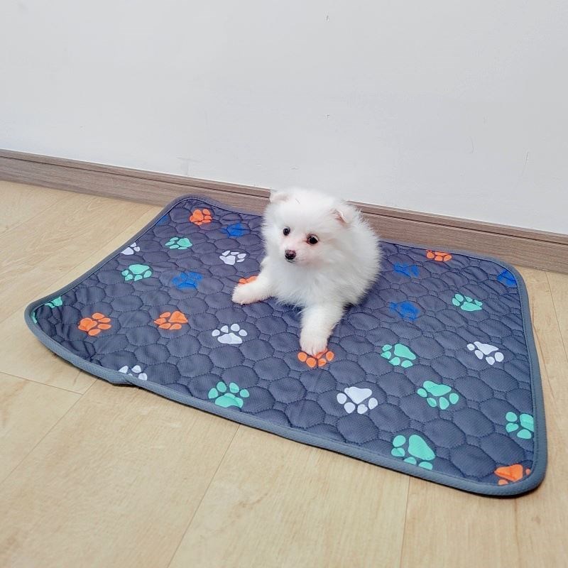 可机洗水洗狗狗隔尿垫强吸水防漏宠物尿垫猫咪垫子防尿窝垫床垫