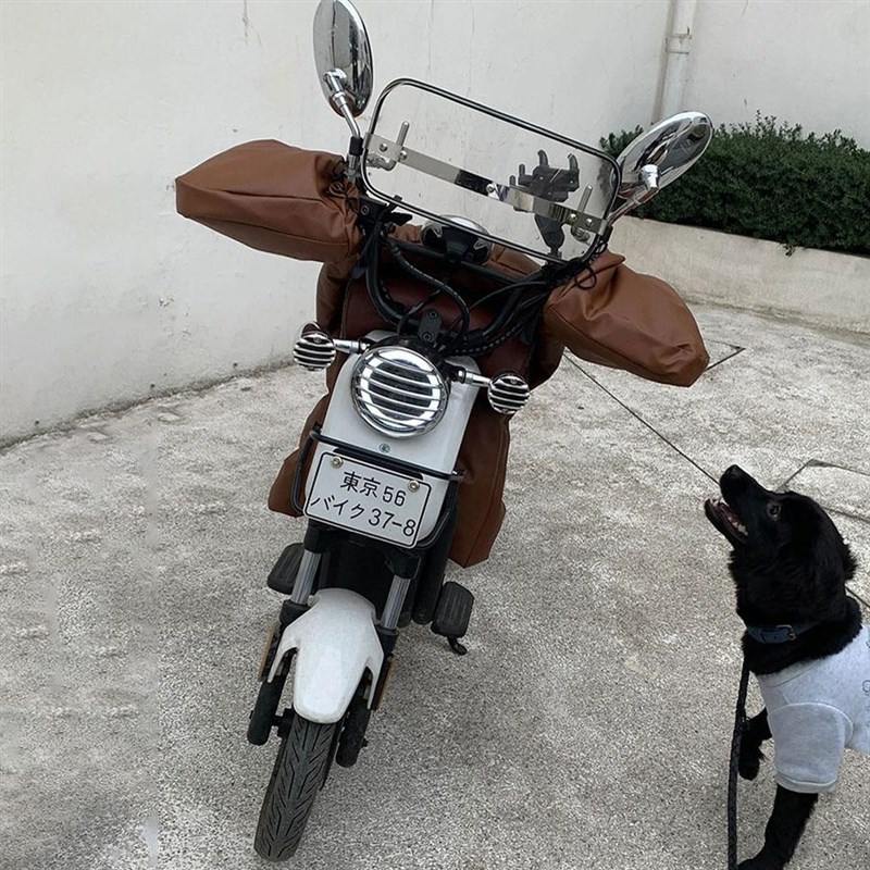 摩托车挡风被分体冬季款电动车挡风被女士加绒加厚防水防寒防风罩