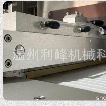 果脯拉伸膜真空包装机 蔬菜水果拉伸膜包装机 连续拉伸牛肉干封