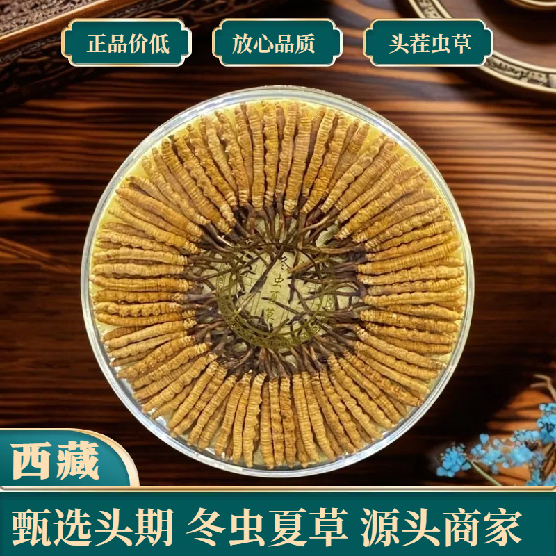 草王【2-3根1克】西藏冬虫夏草旗舰店正品送礼佳品配礼盒10克起拍
