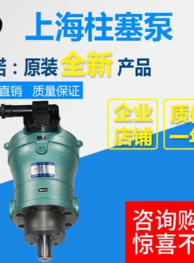 10PCY 16PCY 25PCY 32PCY 40PCY 108PCY 400PCY14-1B/轴向柱塞泵