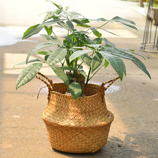 北欧草编花盆套手提包篮子编织竹篮琴叶榕藤编草编花篮袋提包竹