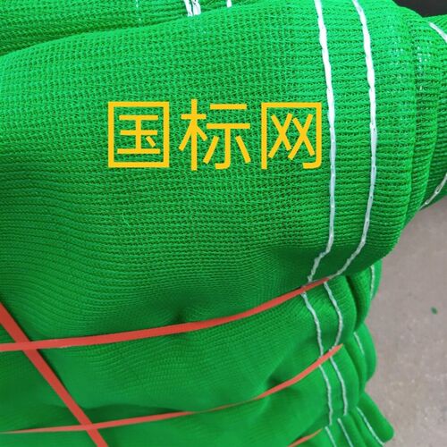 工地安建筑电梯防护网蓝色脚手架外墙装修施工防火阻燃密目网