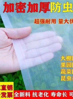 防虫网种菜果树防虫网纱网种菜专用网果树防乌网草莓防鸟罩防蝇网