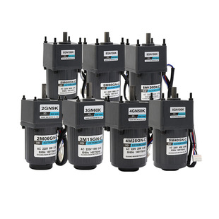 220V交流慢速电机6W-200W大功率齿轮减速电机微型低速电动小马达