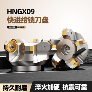 NC45HX0906双面快进给铣刀盘HNGX0906刀片平面45刀盘通装普拉米特