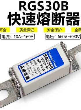 RGS30B 660V 690V 50A45A40A35A32A25A20A16A10A6A2A快速熔断器