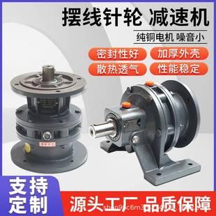 摆线针轮减速机变速齿轮箱卧式立式直连直联行星摆针减速器
