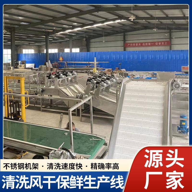 硕特樱桃分选机等级分拣机车厘子大小分级机直径选果机厂家全自动